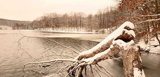 Nature Preserve «Liberty Reservoir», reviews and photos, 5685 Oakland Rd, Eldersburg, MD 21784, USA