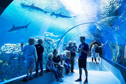 National Aquarium Denmark