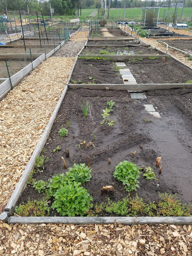 Nature Preserve «Warren Riverside Property», reviews and photos, 229 Mountain Ave, Warren, NJ 07059, USA