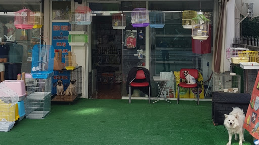 Manavgat Deniz Pet Market | Manavgat Antalya - Evcil hayvan mağazası