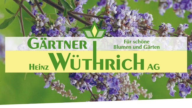 Rezensionen über Blumen Heinz Wüthrich AG in Sarnen - Blumengeschäft