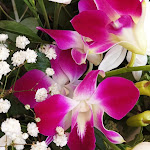 Photo n° 2 de l'avis de Vinciane.U fait le 06/06/2023 à 17:29 pour Coup de Fleurs, Artisan Fleuriste à Saint-Pierre-Église