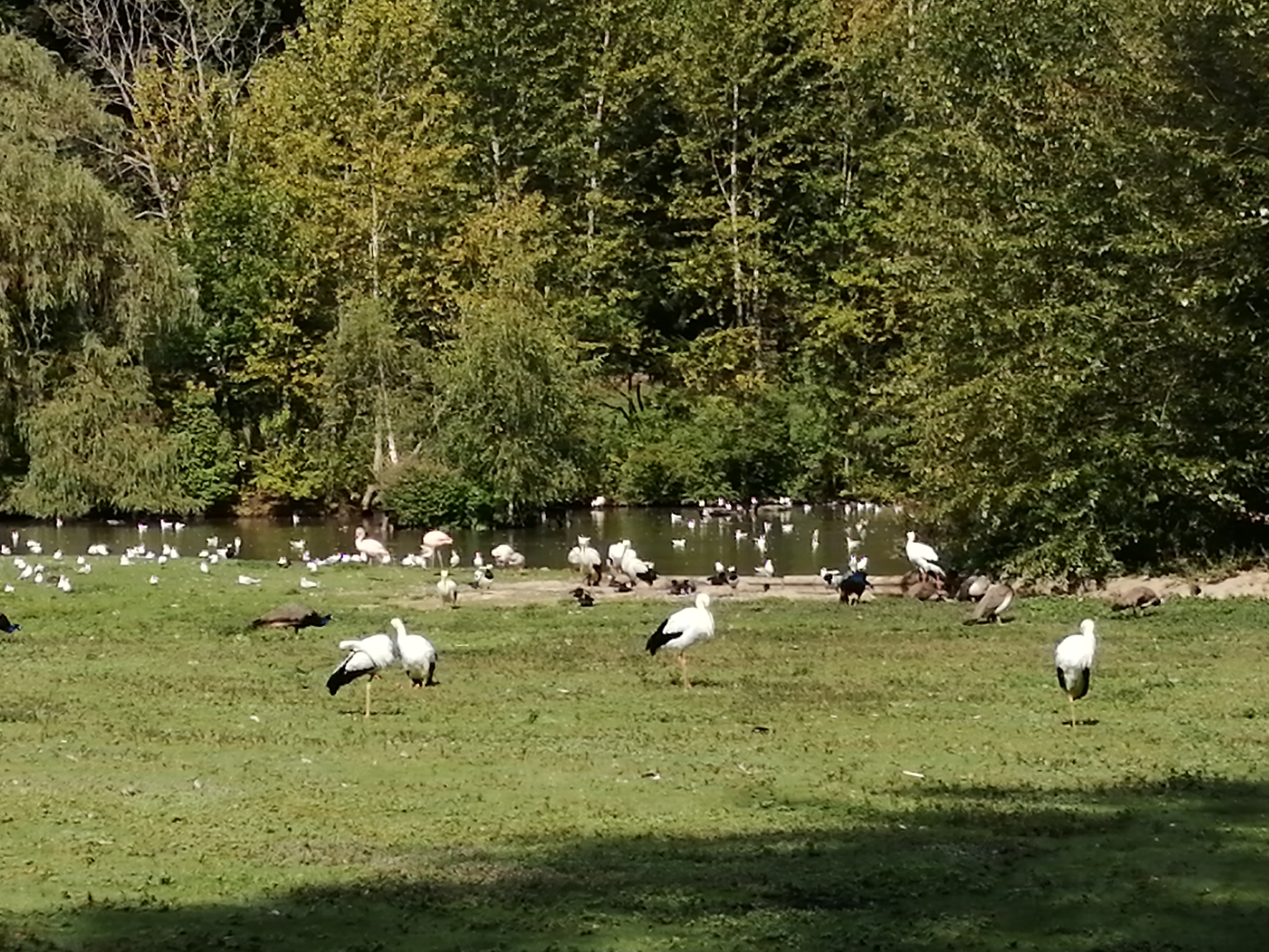 Photo n° 1 de l'avis de Virginie.o fait le 23/08/2019 à 20:35