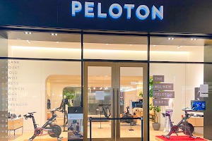 Peloton - Murray image