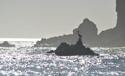 Sail Channel Islands image
