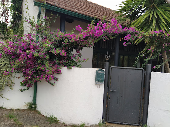 Extérieur Casa rural CASA A PEDRA DO COUTO 36740 Outeiriño