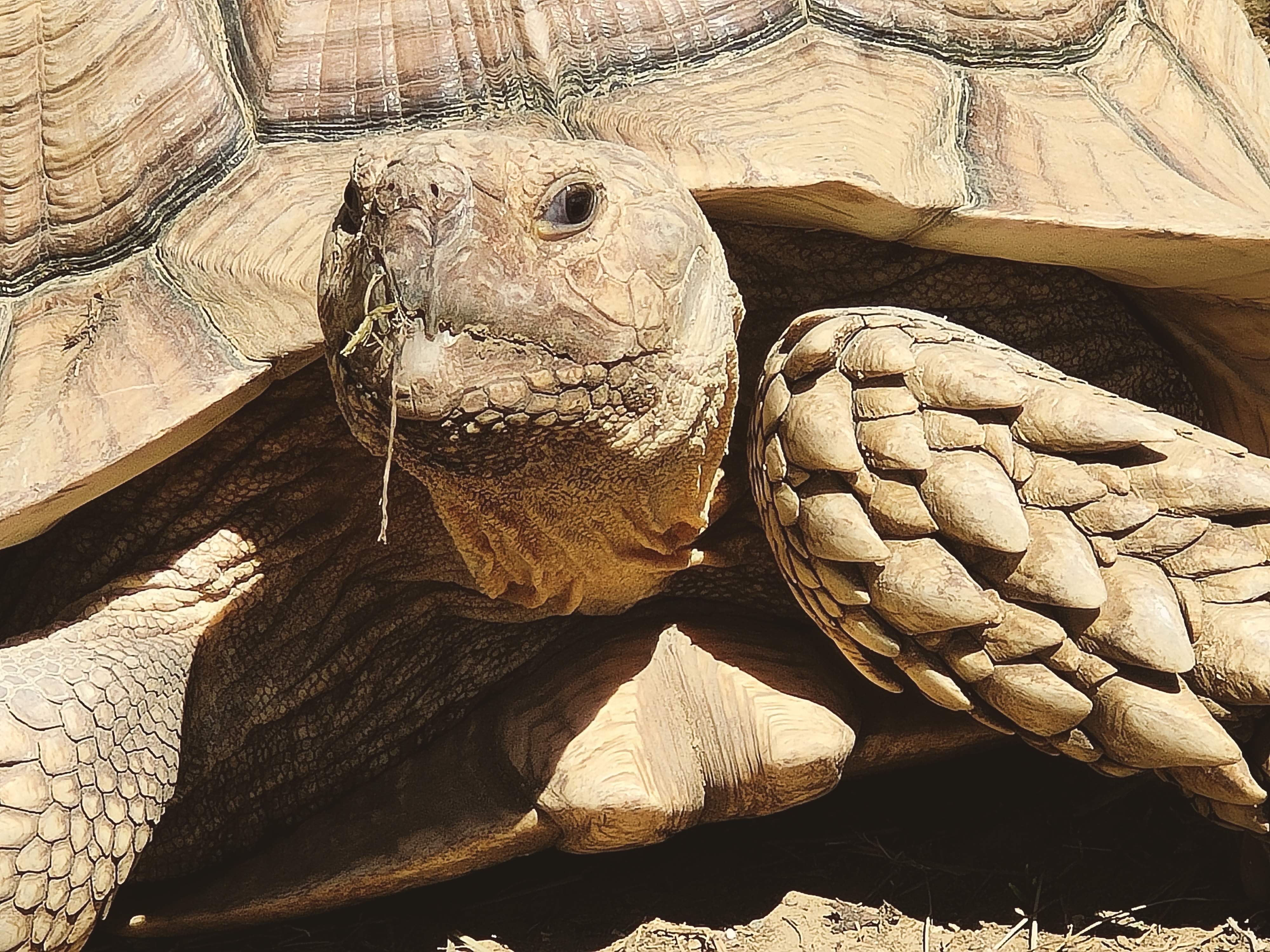 Photo n° 1 de l'avis de Loutre1870. fait le 24/08/2022 à 18:36