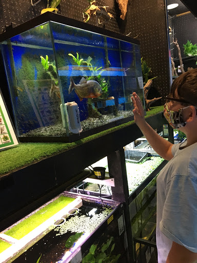 Pet Store «Laconia Pet Center», reviews and photos, 1343 Union Ave, Laconia, NH 03246, USA