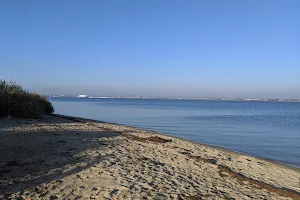 Grand Caribe Shoreline Park image