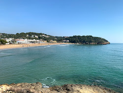 Foto di Platja de la Mora con molto pulita livello di pulizia