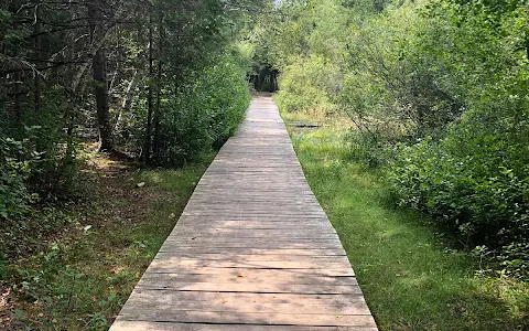 Old Quarry Trail image