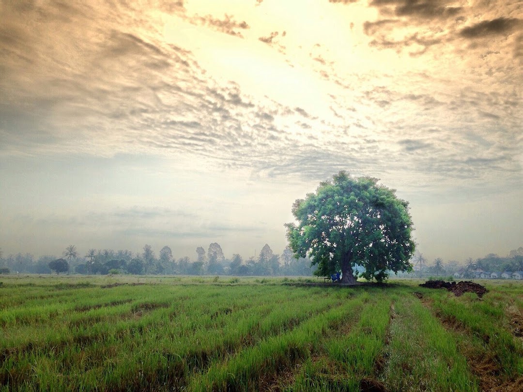 ศูนย์อบรมเยาวชนบางปะหัน