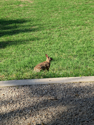 Park «Bob Eden Park», reviews and photos, 901 W Mid Cities Blvd, Euless, TX 76039, USA