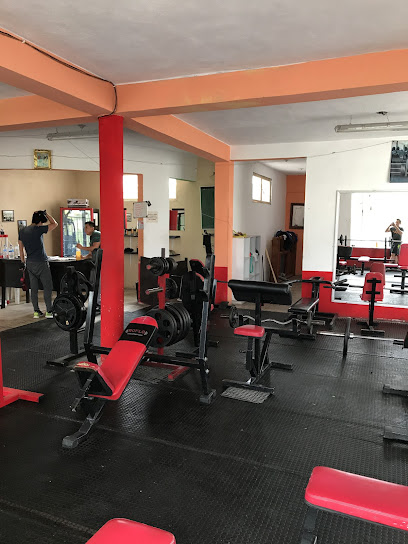 Building Gym - Padre Mier 12, Centro de Dr.arroyo, Centro 3er Sector, 67900 Dr Arroyo, N.L., Mexico