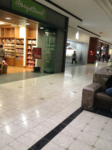 Shopping Mall «MacArthur Center», reviews and photos, 300 Monticello Ave, Norfolk, VA 23510, USA