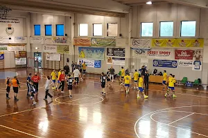 G. S. Ariosto Handball Ferrara image