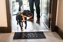 Pet Pawls - Photo 7 - Car repair in , Kissimmee