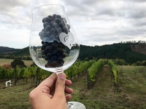 Vineyard «Coeur De Terre», reviews and photos, 21000 SW Eagle Point Rd, McMinnville, OR 97128, USA