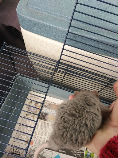 Pet Store «Pet Planet», reviews and photos, 11968 S Redwood Rd, Riverton, UT 84065, USA