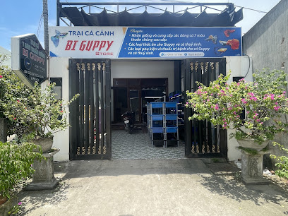 Bi GUPPY store - Trại cá 7 màu thuần chủng