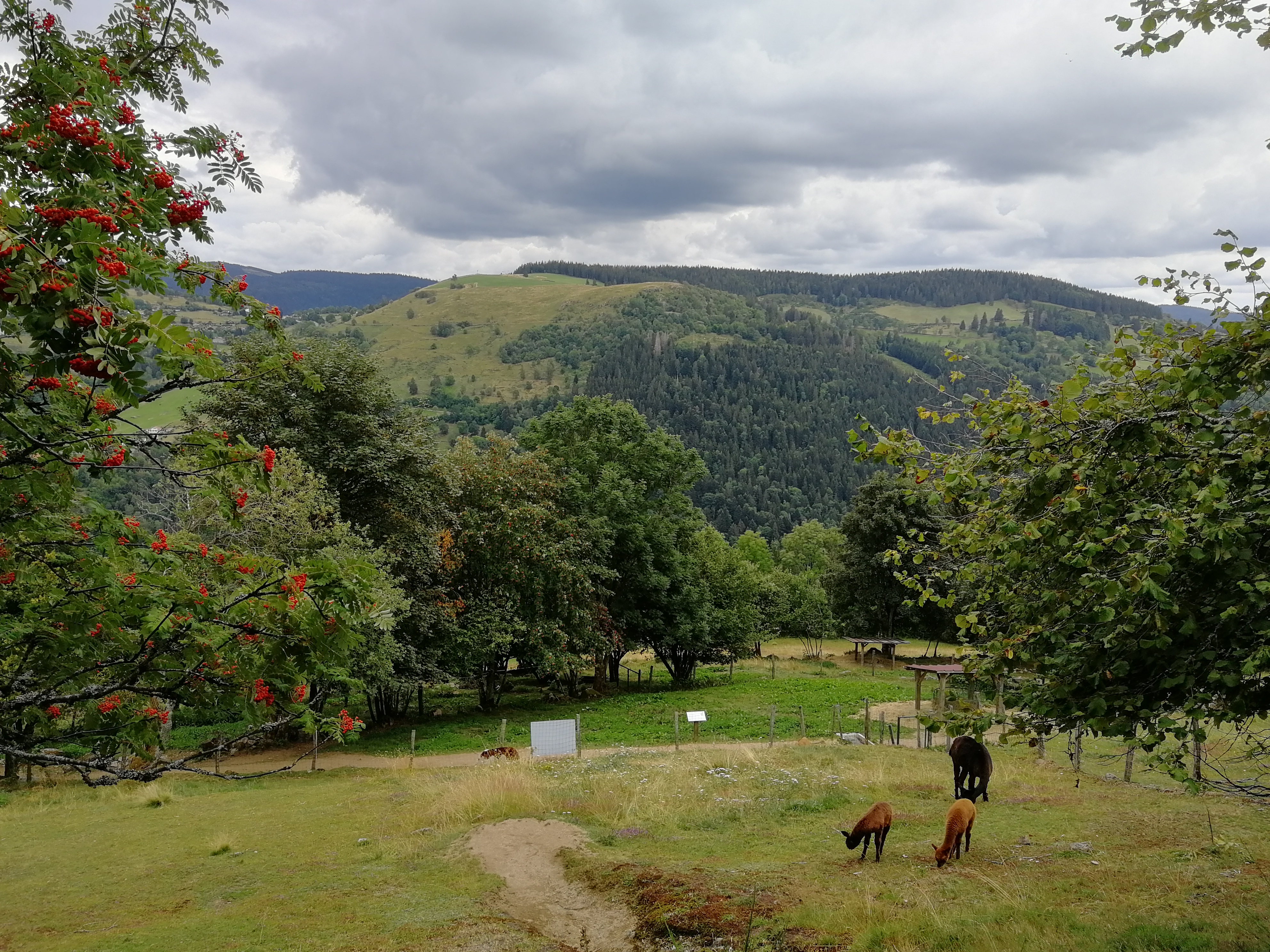 Photo n° 2 de l'avis de Nicolas.a fait le 19/08/2020 à 08:36