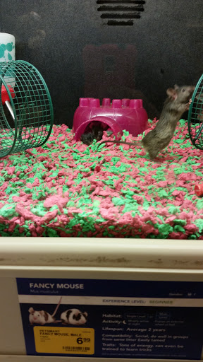 Pet Supply Store «PetSmart», reviews and photos, 6019 Wade Hampton Blvd, Taylors, SC 29687, USA