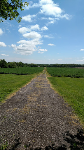 Home Goods Store «Monica Potter Home», reviews and photos, 12724 OH-88, Garrettsville, OH 44231, USA