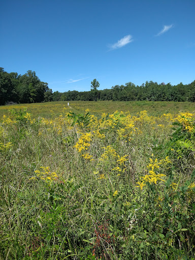 Battle Site «Spotsylvania Court House Battlefield», reviews and photos, 9550 Grant Dr, Spotsylvania, VA 22553, USA