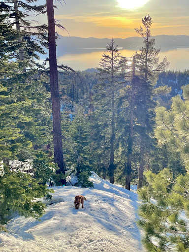 Tahoe Outdoor Adventures image