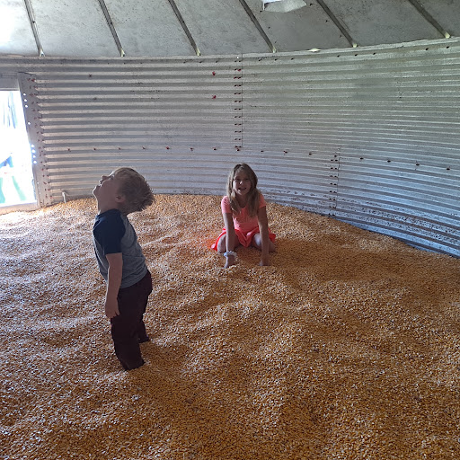 Farm «Bottom View Farm», reviews and photos, 185 Wilkerson Ln, Portland, TN 37148, USA