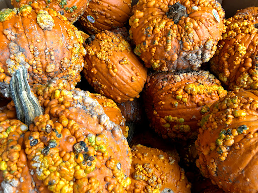 Grocery Store «Kroger», reviews and photos, 701 W Marshall Ave, Longview, TX 75601, USA