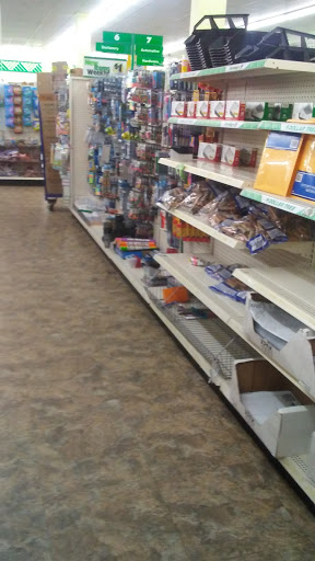 Dollar Store «Dollar Tree», reviews and photos, 7001 Cermak Rd, Berwyn, IL 60402, USA