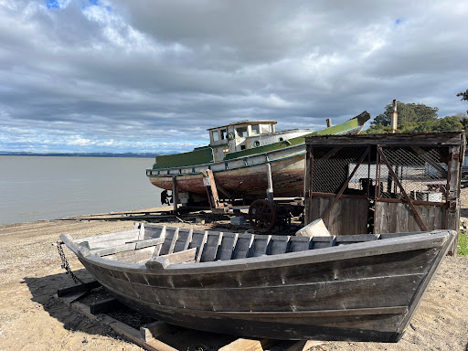 China Camp Beach image