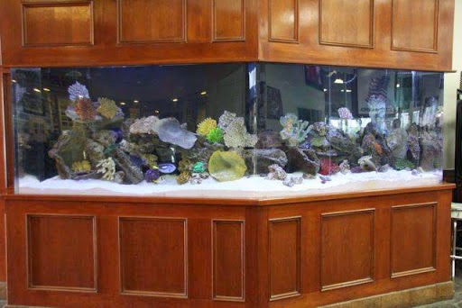 Car Wash «Simi Auto Spa & Speed Wash», reviews and photos, 1144 E Los Angeles Ave, Simi Valley, CA 93065, USA