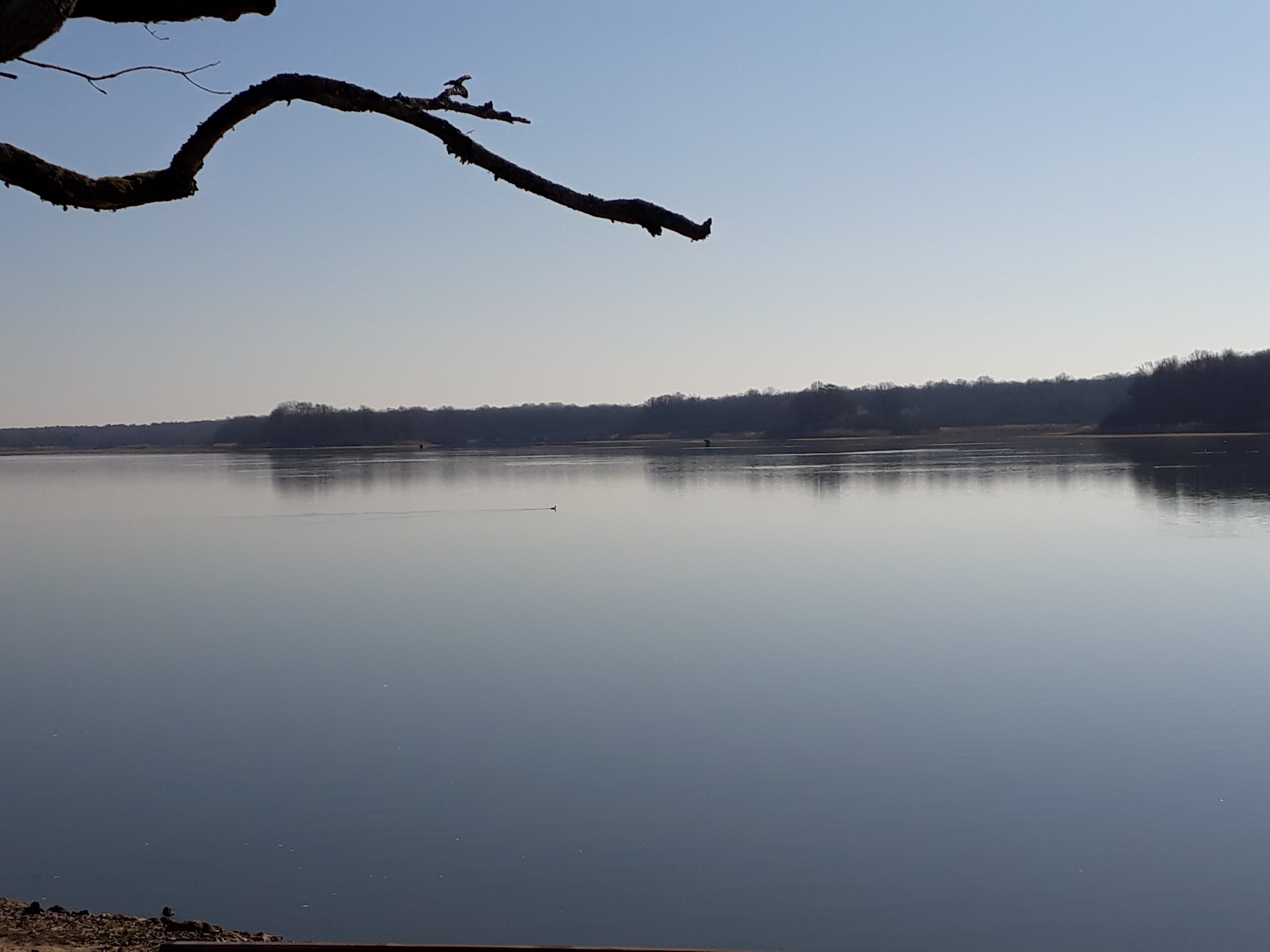 Photo n° 2 de l'avis de Catherine. fait le 04/03/2019 à 16:53