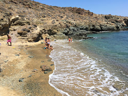Lia Beach'in fotoğrafı vahşi alan