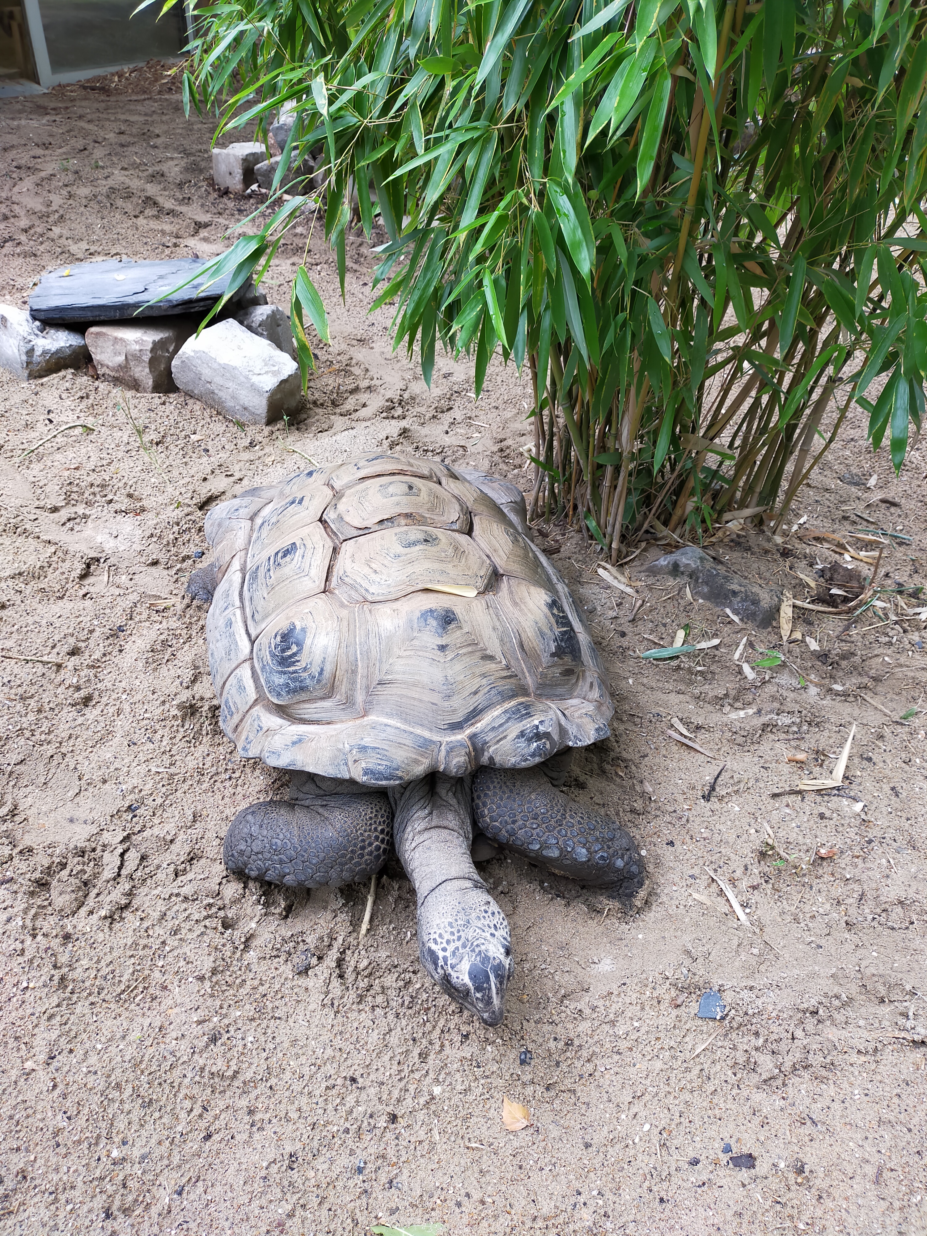 Photo n° 3 de l'avis de fab&sar. fait le 25/08/2023 à 20:09