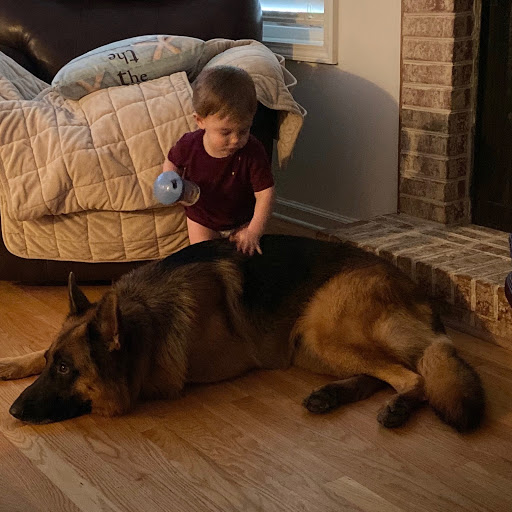 Dog Trainer «K9 Penn Dog Training Services», reviews and photos, 475 Sandy Ln, Surfside Beach, SC 29575, USA