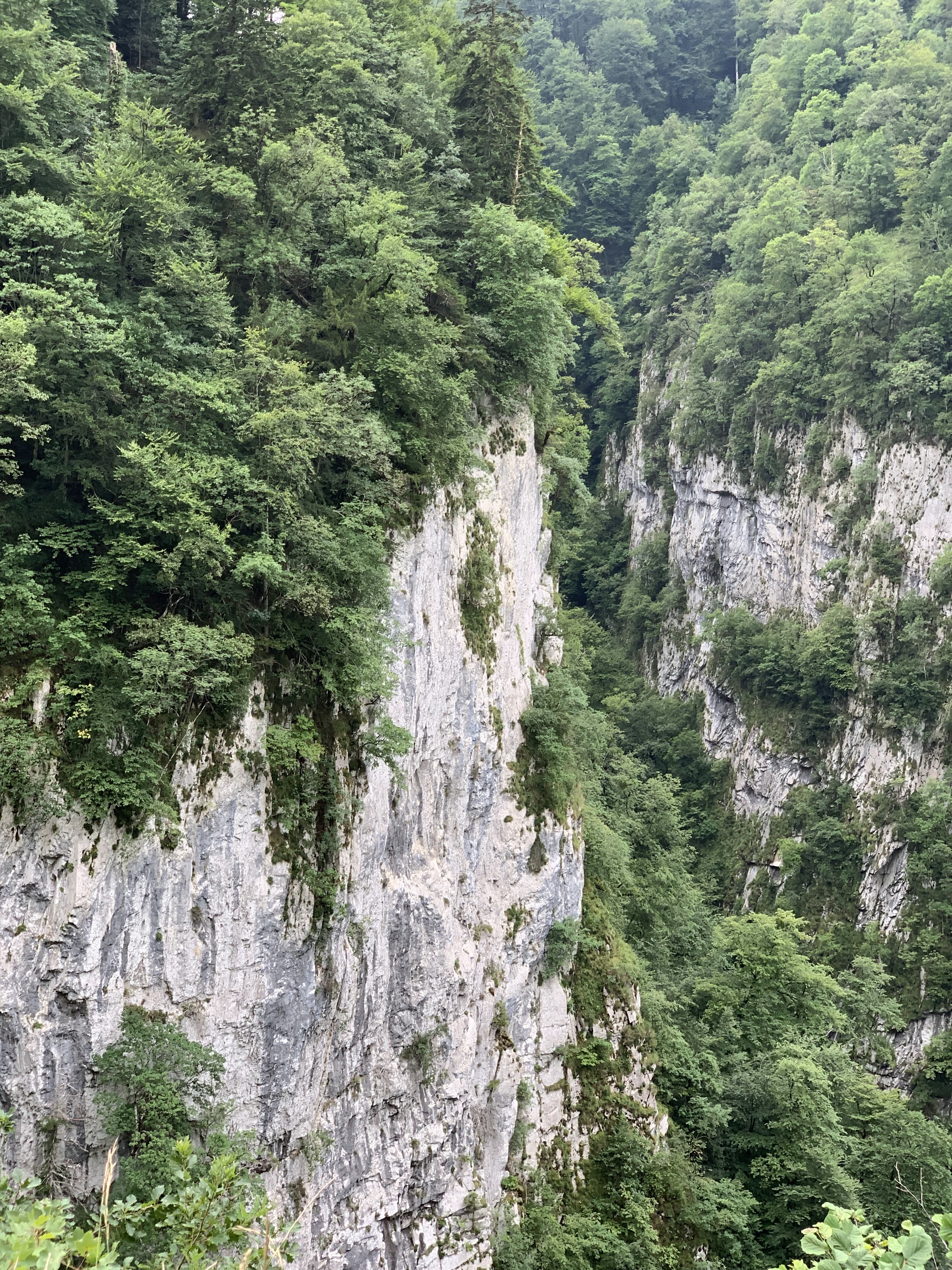 Photo n° 6 de l'avis de Aurélien.i fait le 11/08/2019 à 12:09