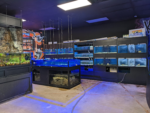 Tropical Fish Store «Glass Aquatics», reviews and photos, 542 W Harwood Rd, Hurst, TX 76054, USA