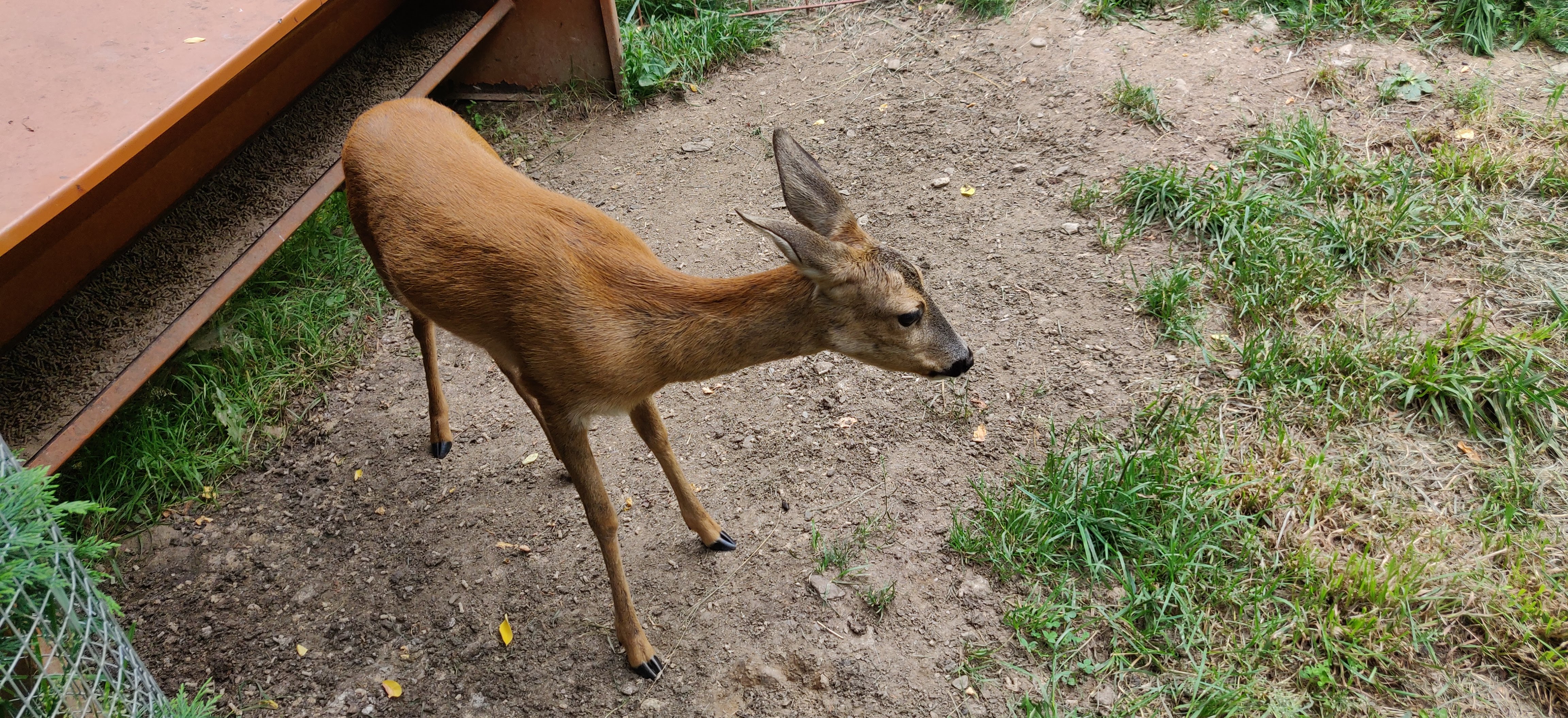 Photo n° 16 de l'avis de Frédéric.o fait le 15/11/2022 à 09:50