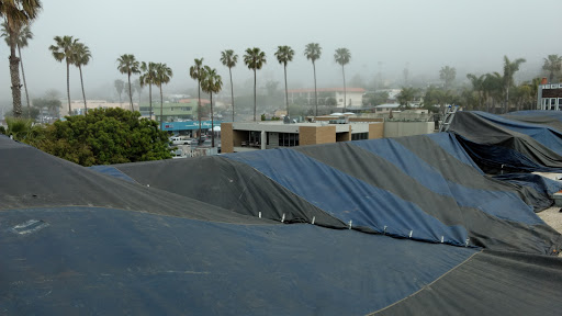 Clothing Store «Patagonia Cardiff-by-The-Sea», reviews and photos, 2185 San Elijo Ave, Cardiff, CA 92007, USA