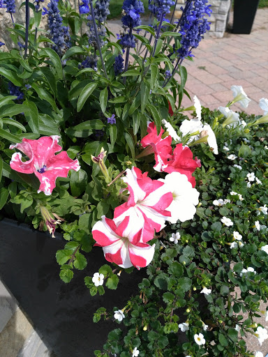 Park «Hudson Crossing Park», reviews and photos, S Harrison St, Oswego, IL 60543, USA