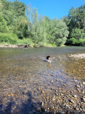 Préchac sur Adour à Préchac-sur-Adour