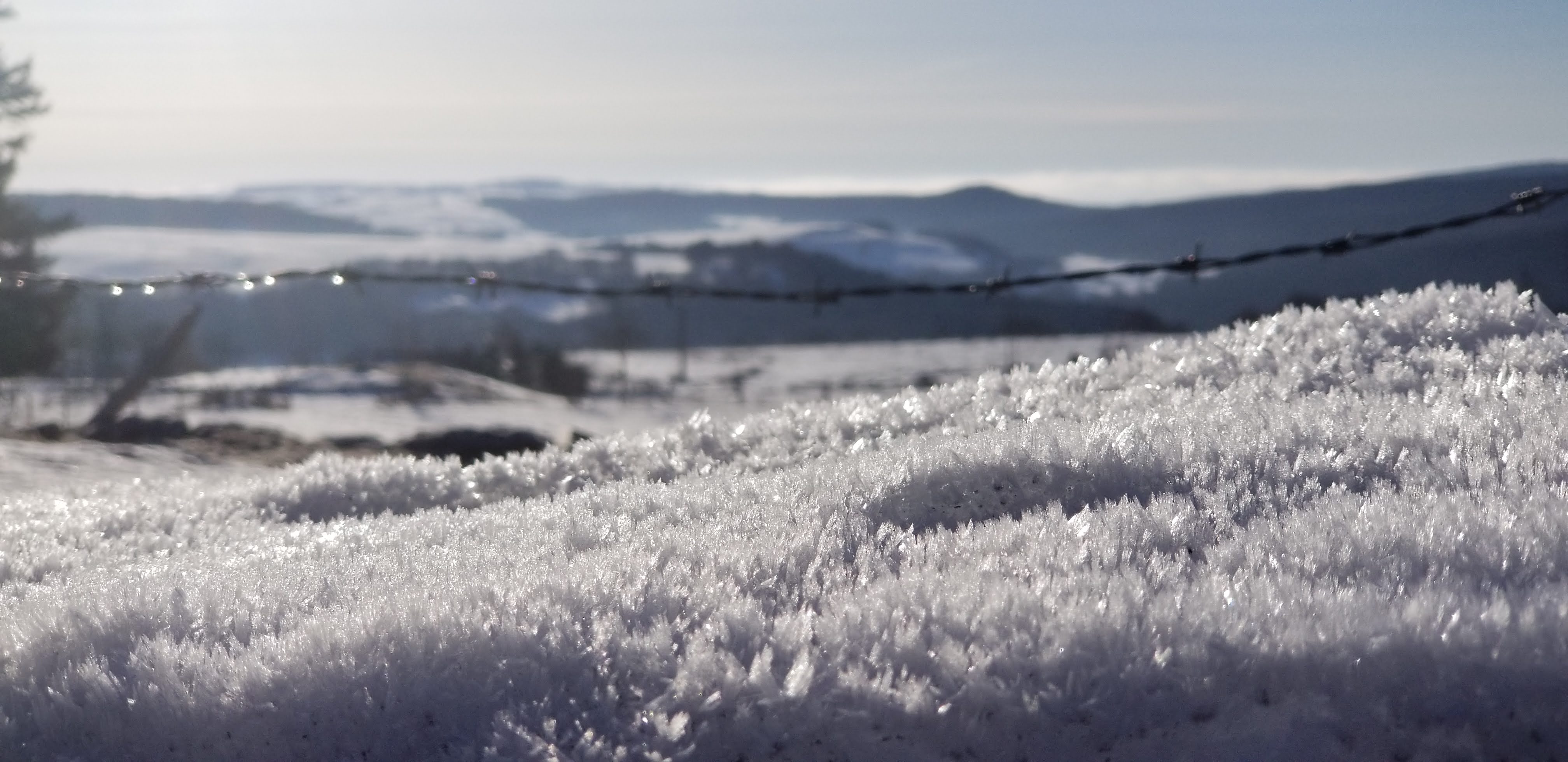 Photo n° 1 de l'avis de Tristan.e fait le 24/03/2019 à 13:12