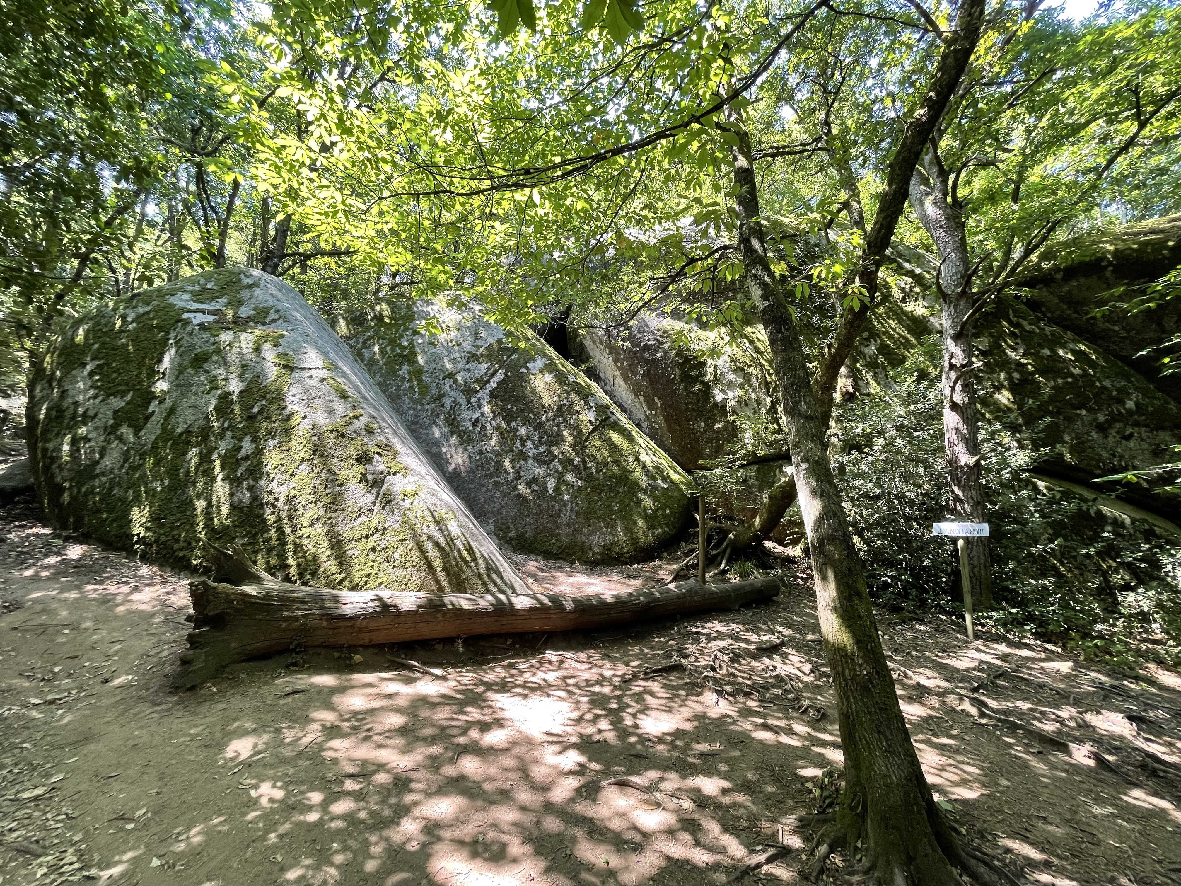 Photo n° 2 de l'avis de Julien.r fait le 20/07/2022 à 16:10