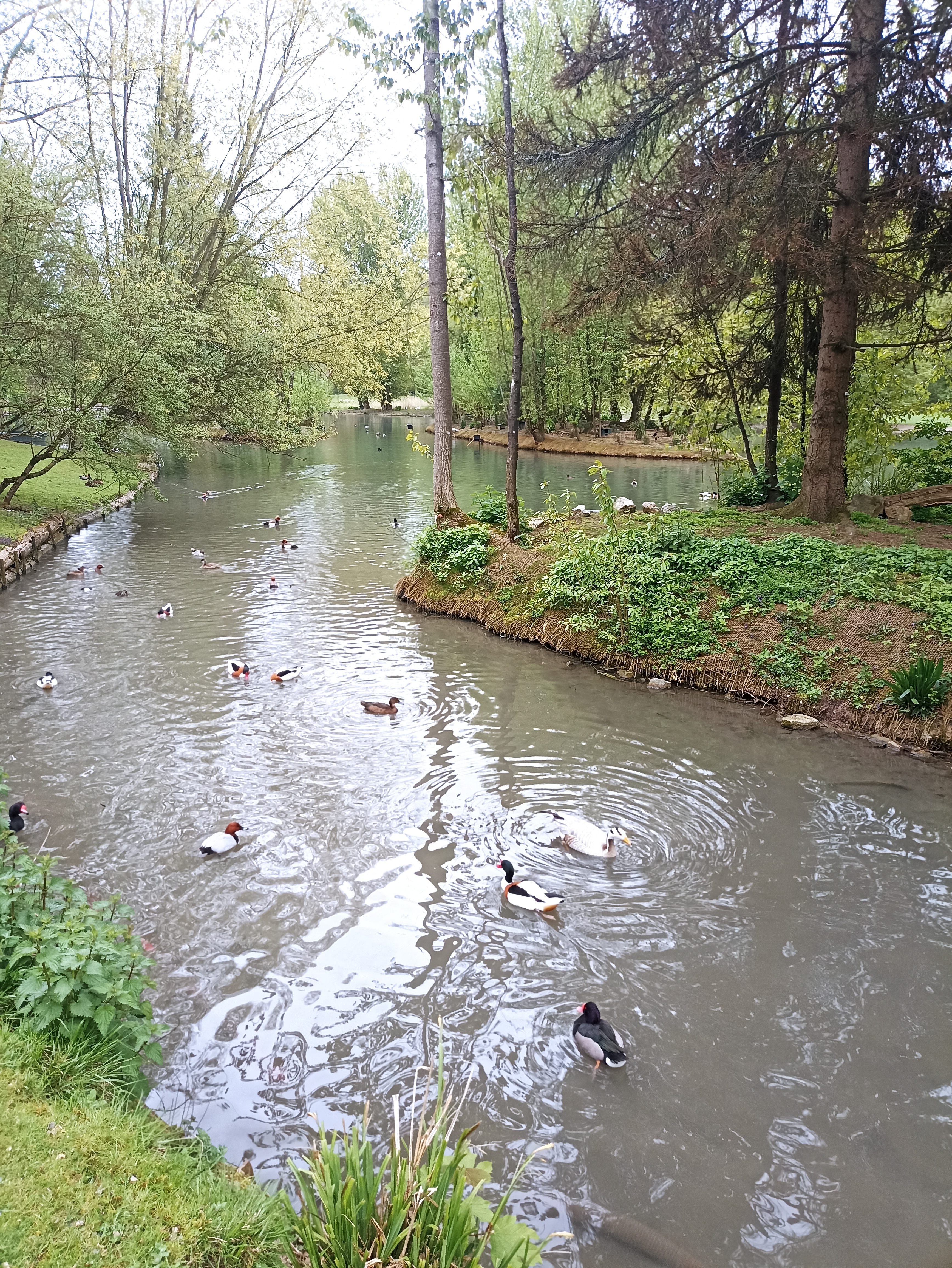 Photo n° 10 de l'avis de INGRID.. fait le 01/05/2023 à 21:03