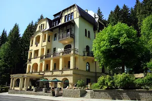 Spa & Wellness Hotel St. Moritz image