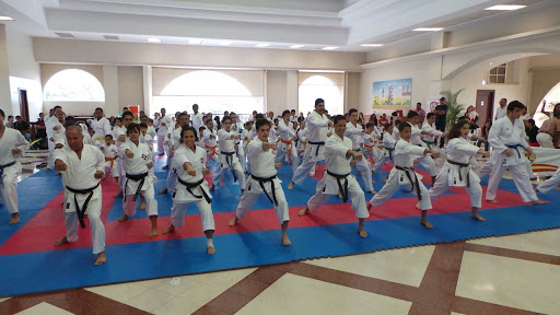 Dimitrova Training Academy