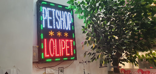 Top 1 cửa hàng lolipet Huyện Trấn Yên Yên Bái 2022